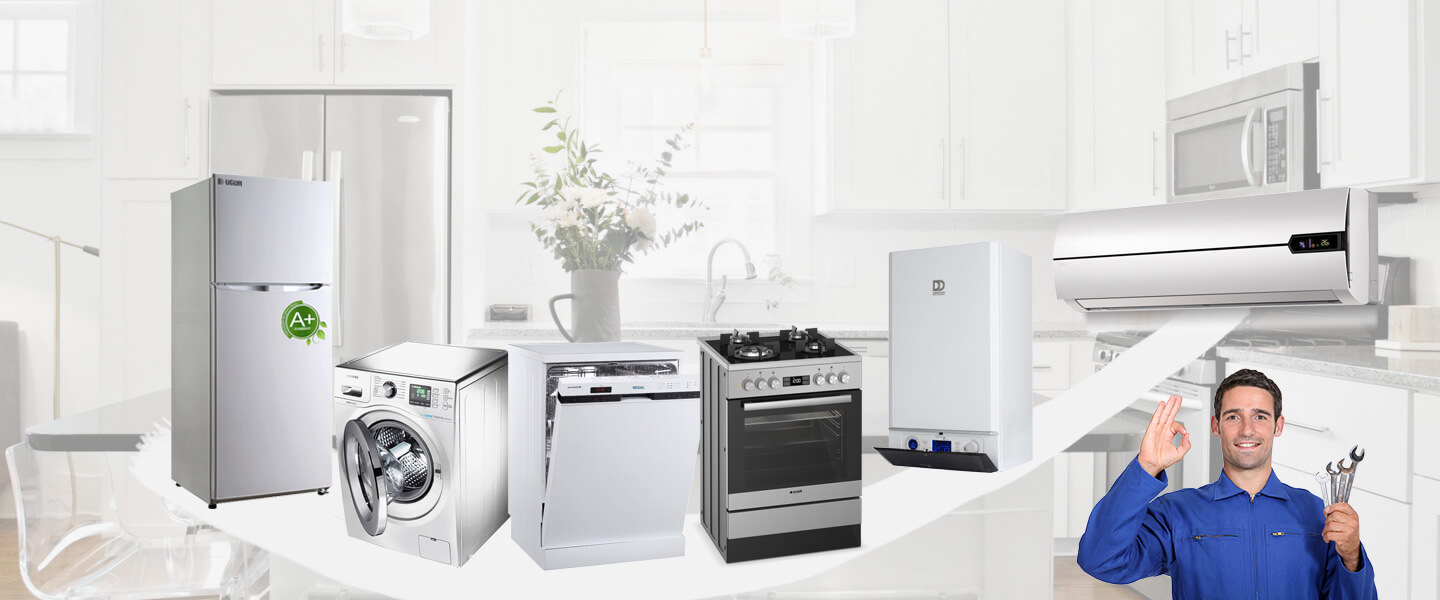 Tepebaşı Silverline Servisi